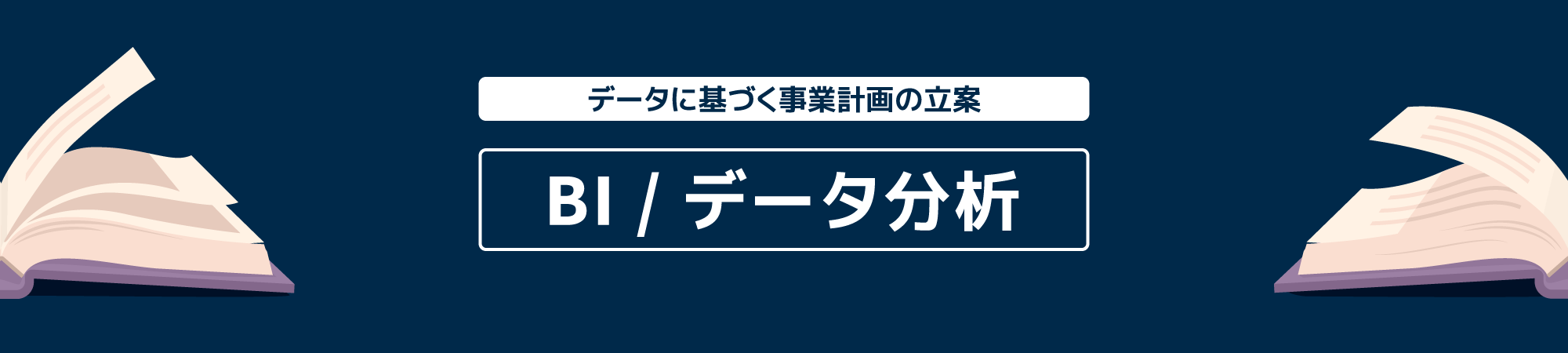 BI / データ分析